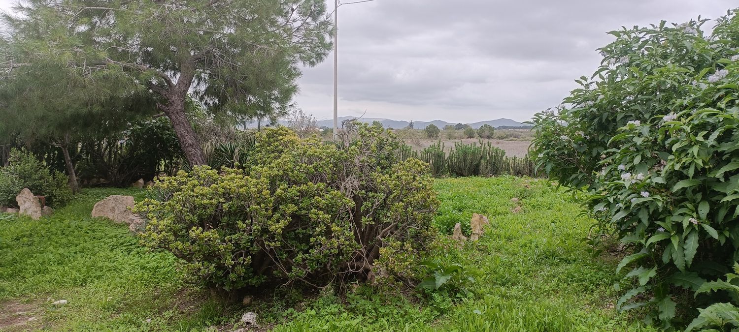 Casa rural en Paraje el aljibe, 87, Cánovas - Cuevas de Reyllo - Foto 16