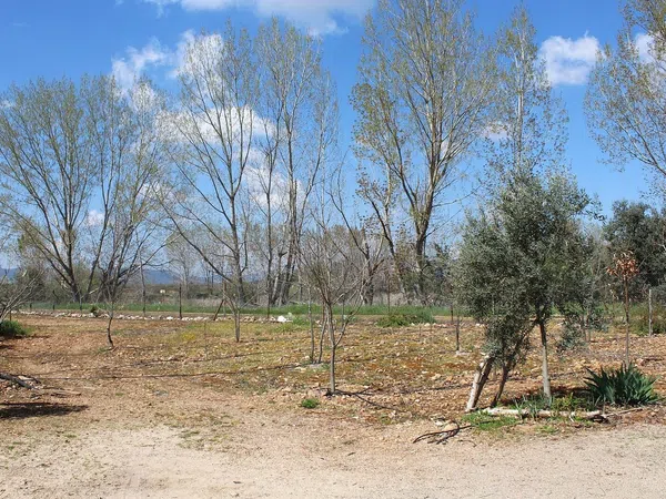 Finca rústica en Cr-7131, 1 km - Foto 21