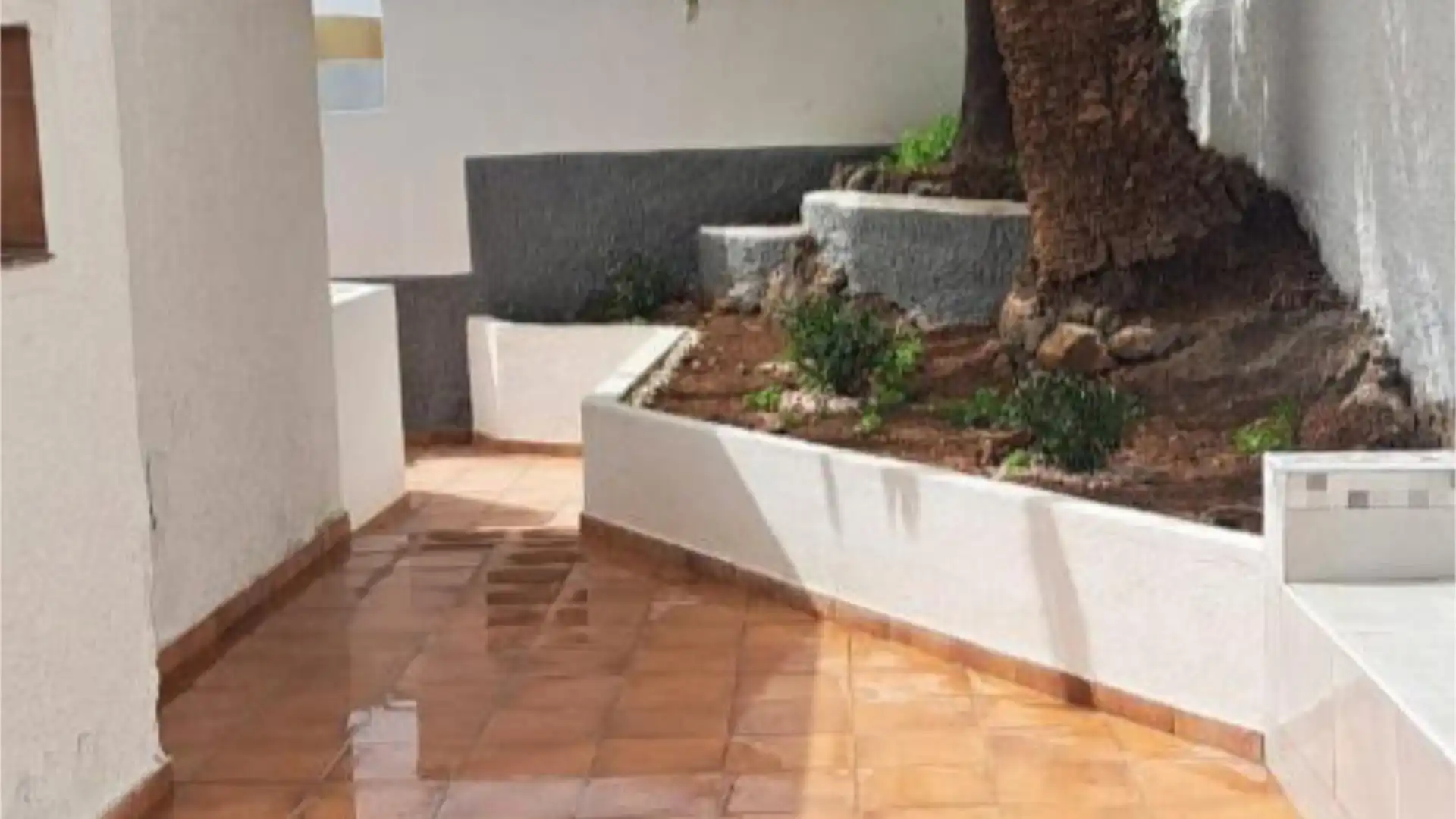 Piso en  Urbanizacion Tabaiba Sector 44 5 - Foto 37