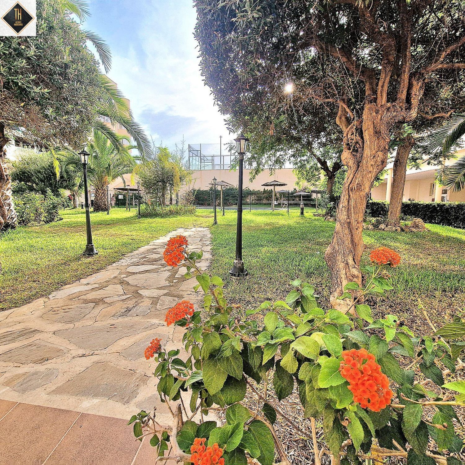 Piso en Calle Píndaro, 19, El Consul - El Romeral - Foto 8