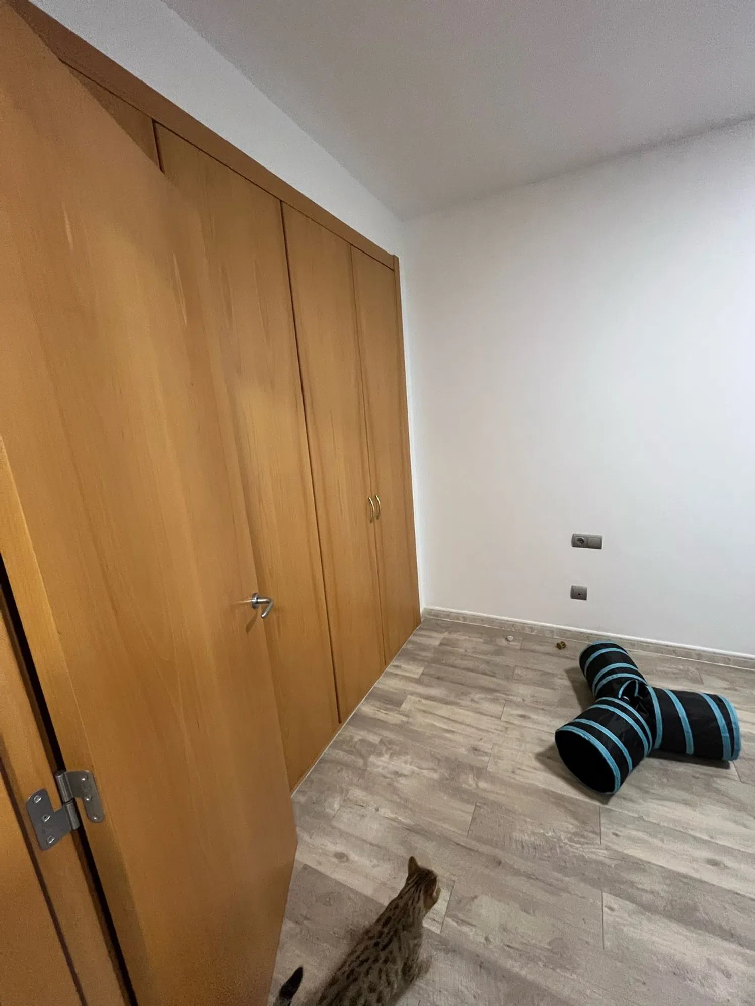 Piso en calle de Jaume I, 9 - Foto 6