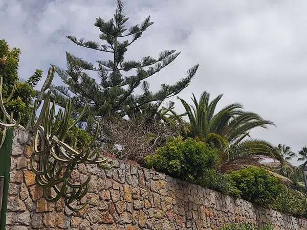 Piso en carretera General Puerto Cruz - Arenas, 66 - Foto 10