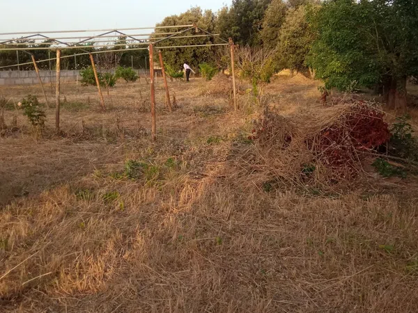 Finca rústica en Ma-3440 s/n, Zona periurbana, Zona periurbana - Foto 2