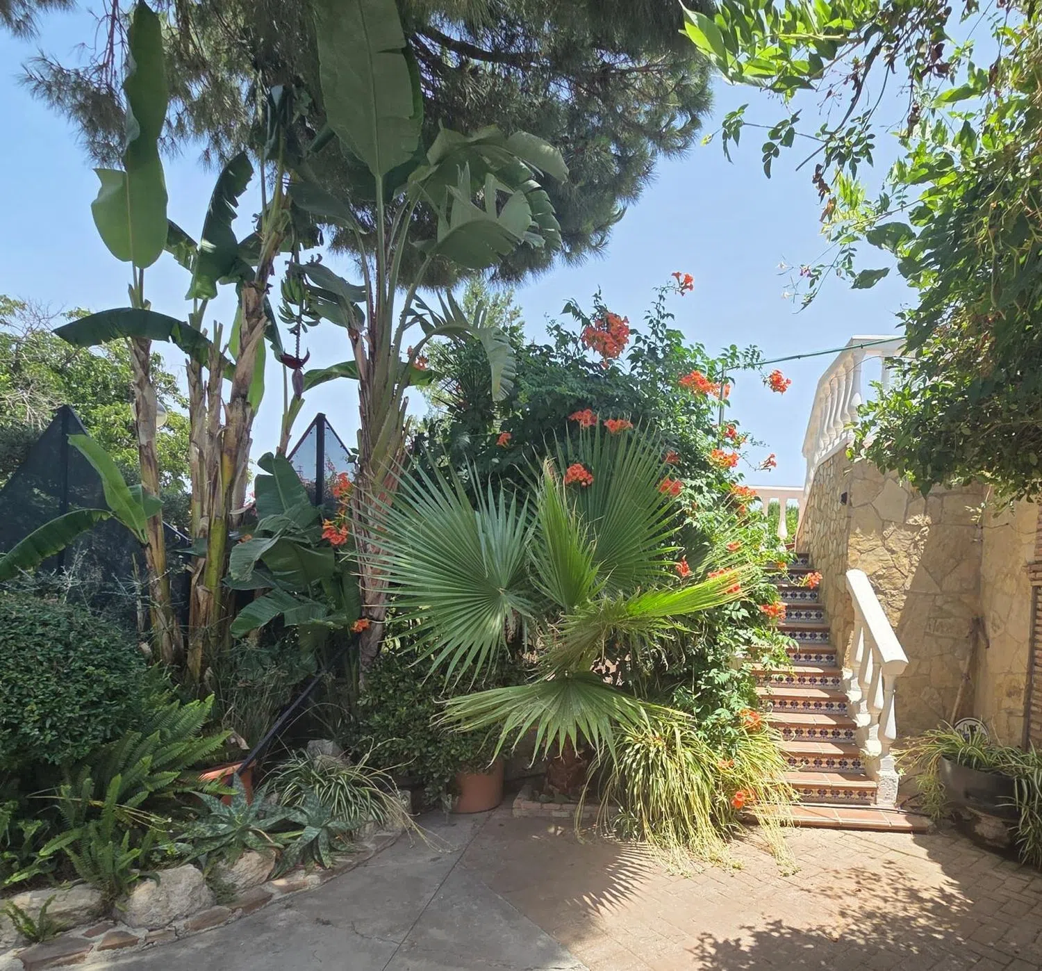 Casa rural en avenida Doctor Concha, 74