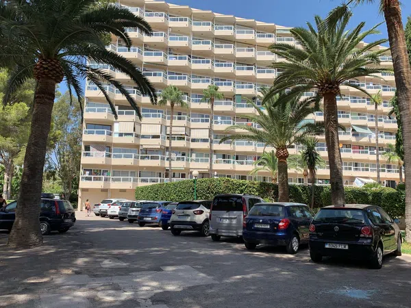 Estudio en Calle Duc Estremera, 7, Palmanova, Palmanova - Foto 14