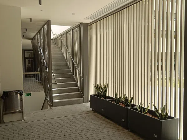 Piso en Calle de Campos Crespo, 46, Safranar - Foto 29