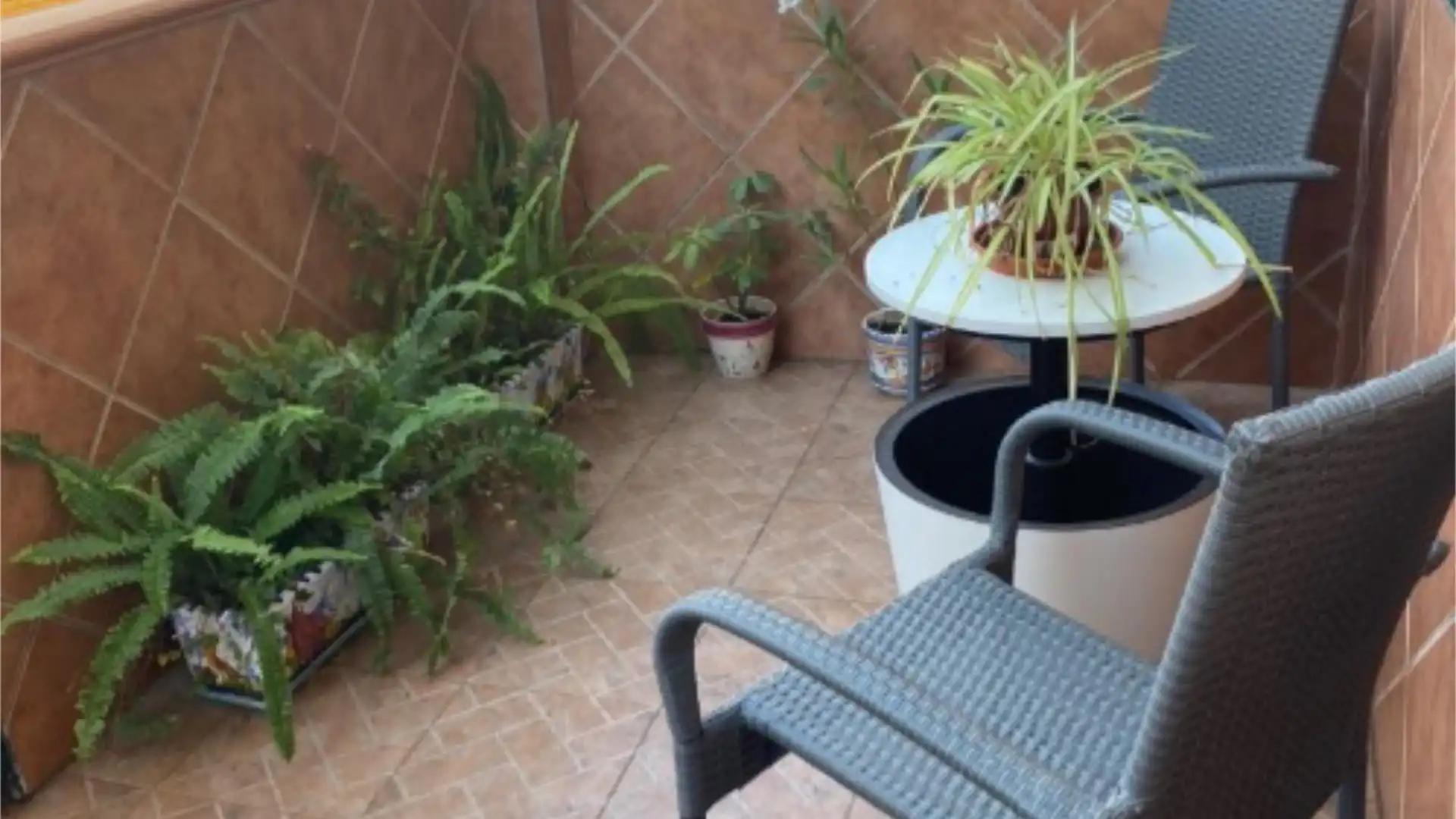 Piso en  Calle Colombia 20 - Foto 1