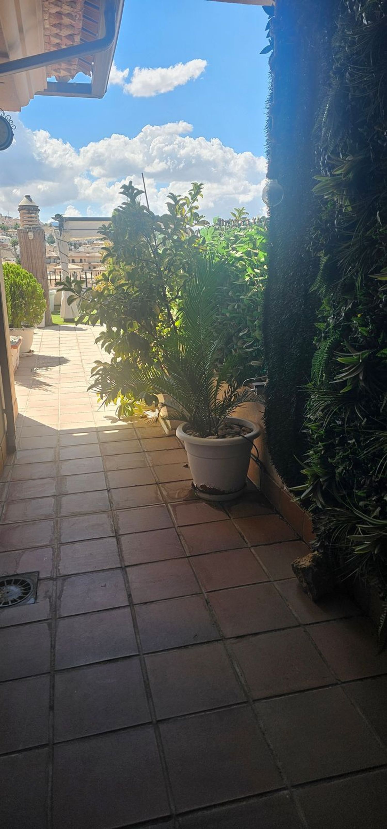 Ático en Calle Trocha, 5 - Foto 3