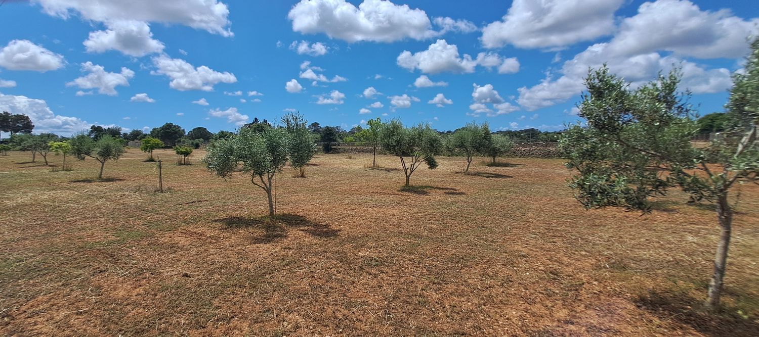 Finca rústica en Llucmajor Interior - Foto 24