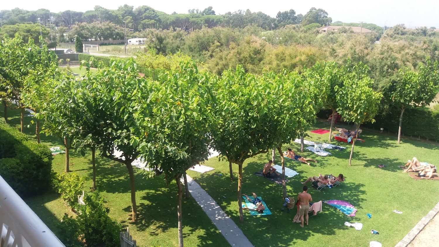 Dúplex en Calle Dàlia, 48 -50, Els Griells - Foto 19