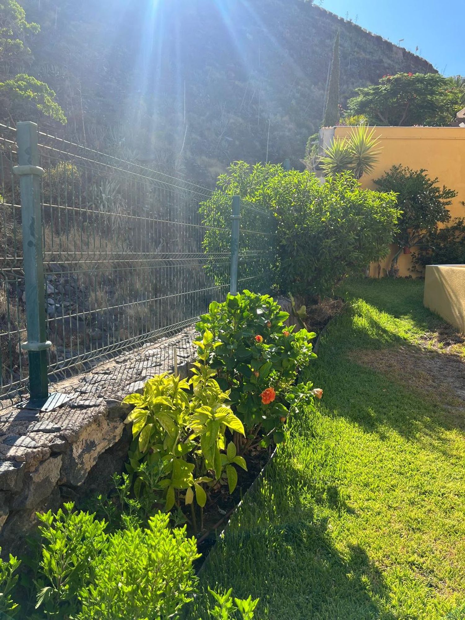 Piso en Calle Rubens Marichal López, 67 a, Ifara-Las Mimosas - Foto 12