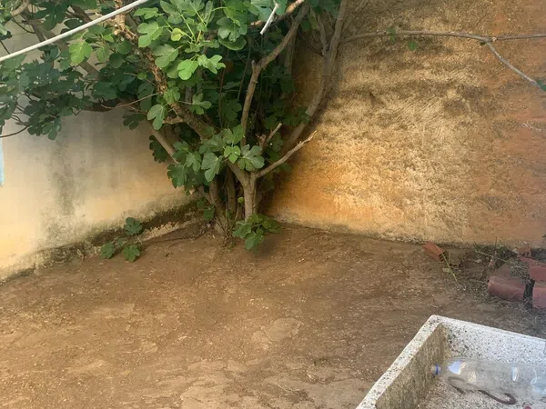 Casa de pueblo en Calle la Pelota, 14 - Foto 10