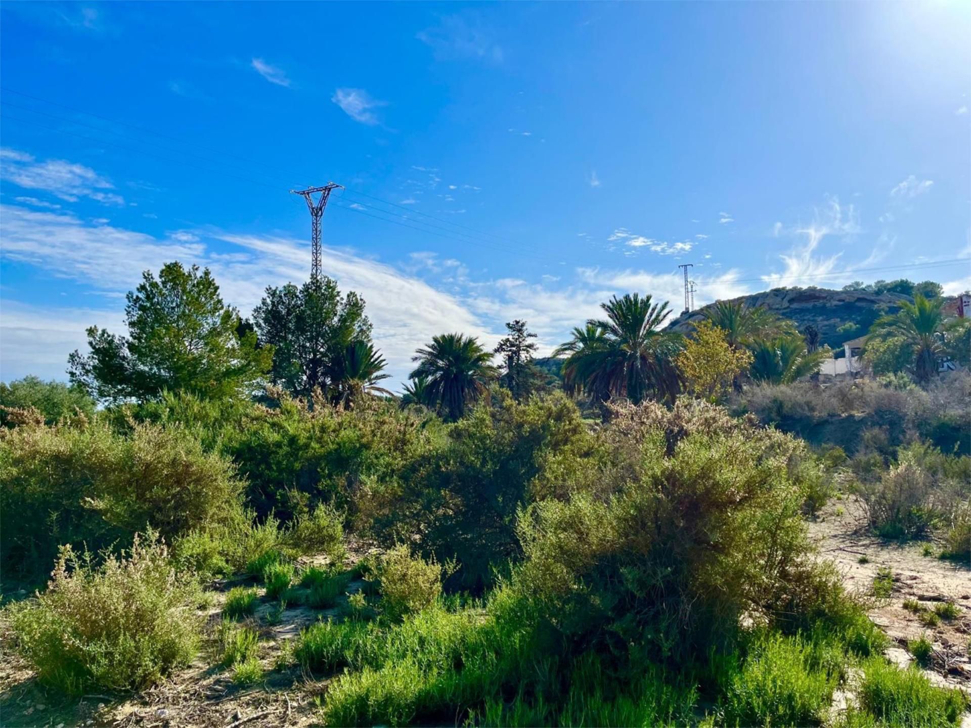 Finca rústica en  Camino Viejo de Saladas 10 - Foto 22