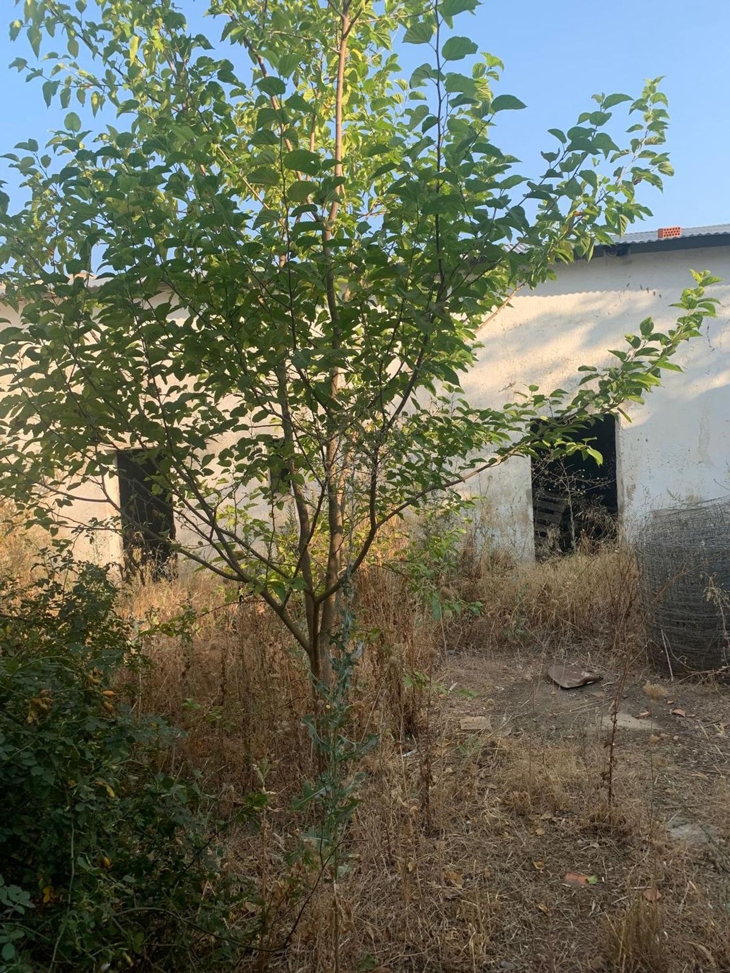 Finca rústica en Canchales altos, 43 - Foto 10