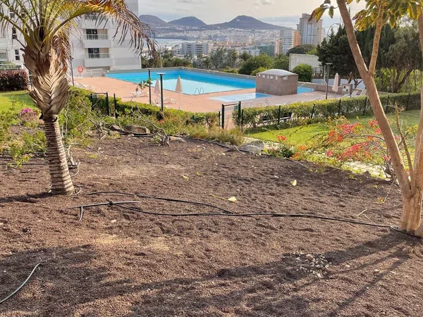 Piso en Calle Doctor Alfonso Chiscano Díaz, 8, Negrín - Foto 6