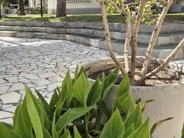 Apartamento en  Calle Nuñez de Balboa 73 - Foto 13