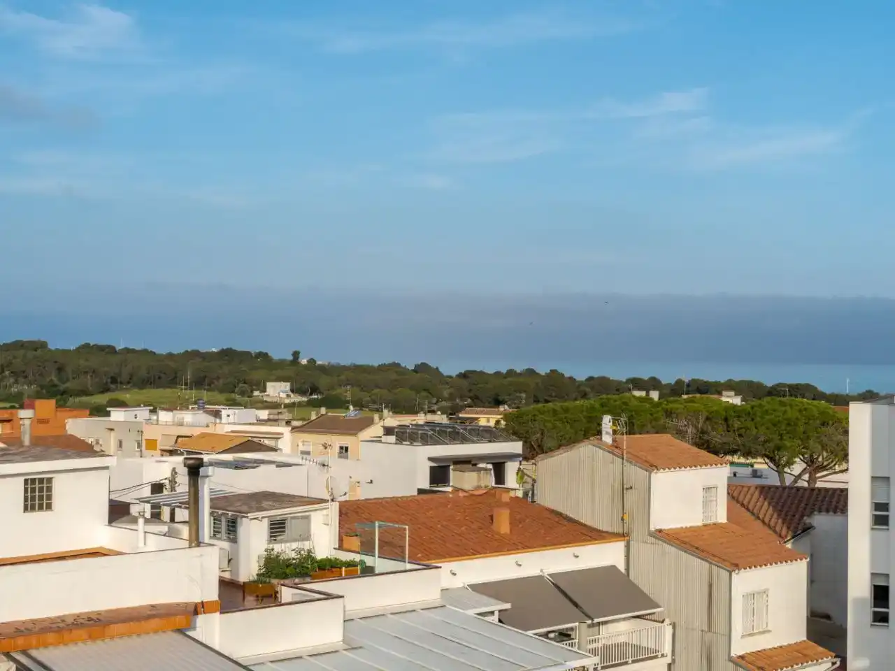Piso en  Passeig de Vilanova 54 - Foto 5