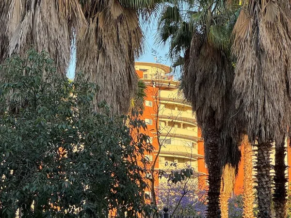 Piso en Calle Afrodita, 10, Jardines de Hércules - Foto 26