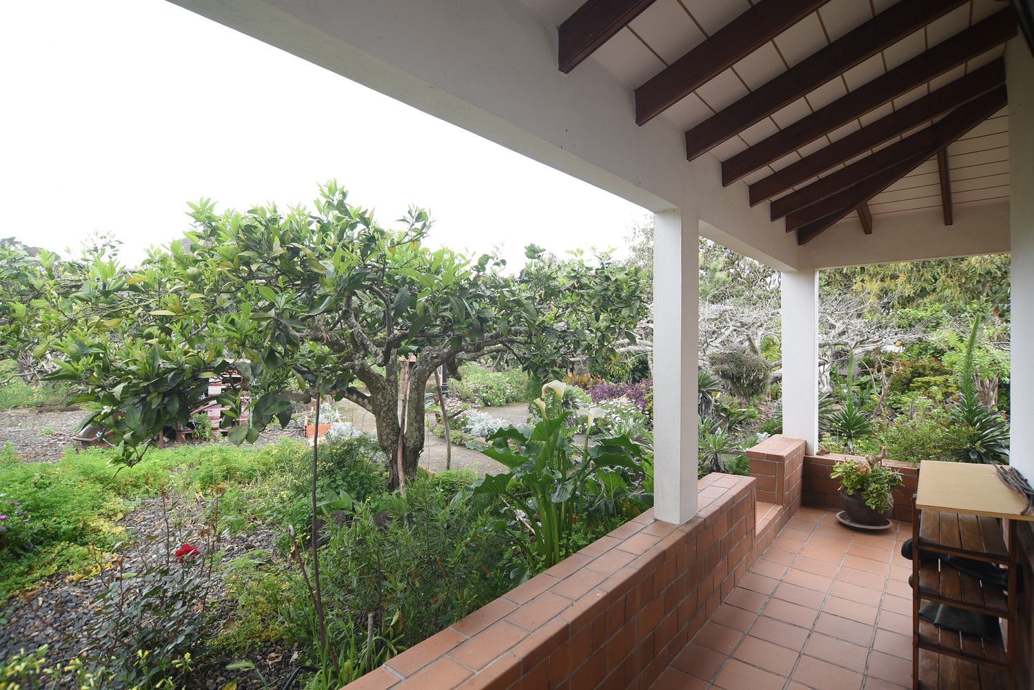 Casa terrera en Calle la Caridad, 1, Tacoronte - Los Naranjeros, Tacoronte - Los Naranjeros - Foto 8