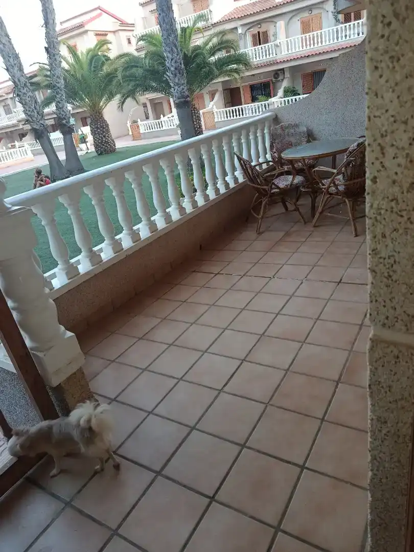 Planta baja en  Calle Pío XII 60 - Foto 5