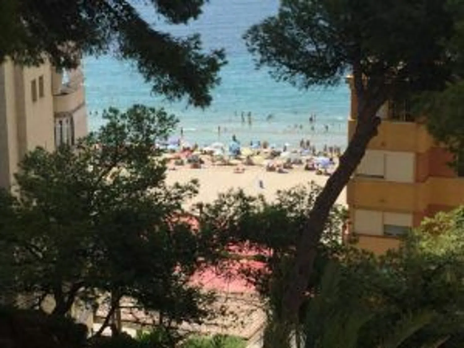 Piso en avenida República Argentina, 3 - Foto 7