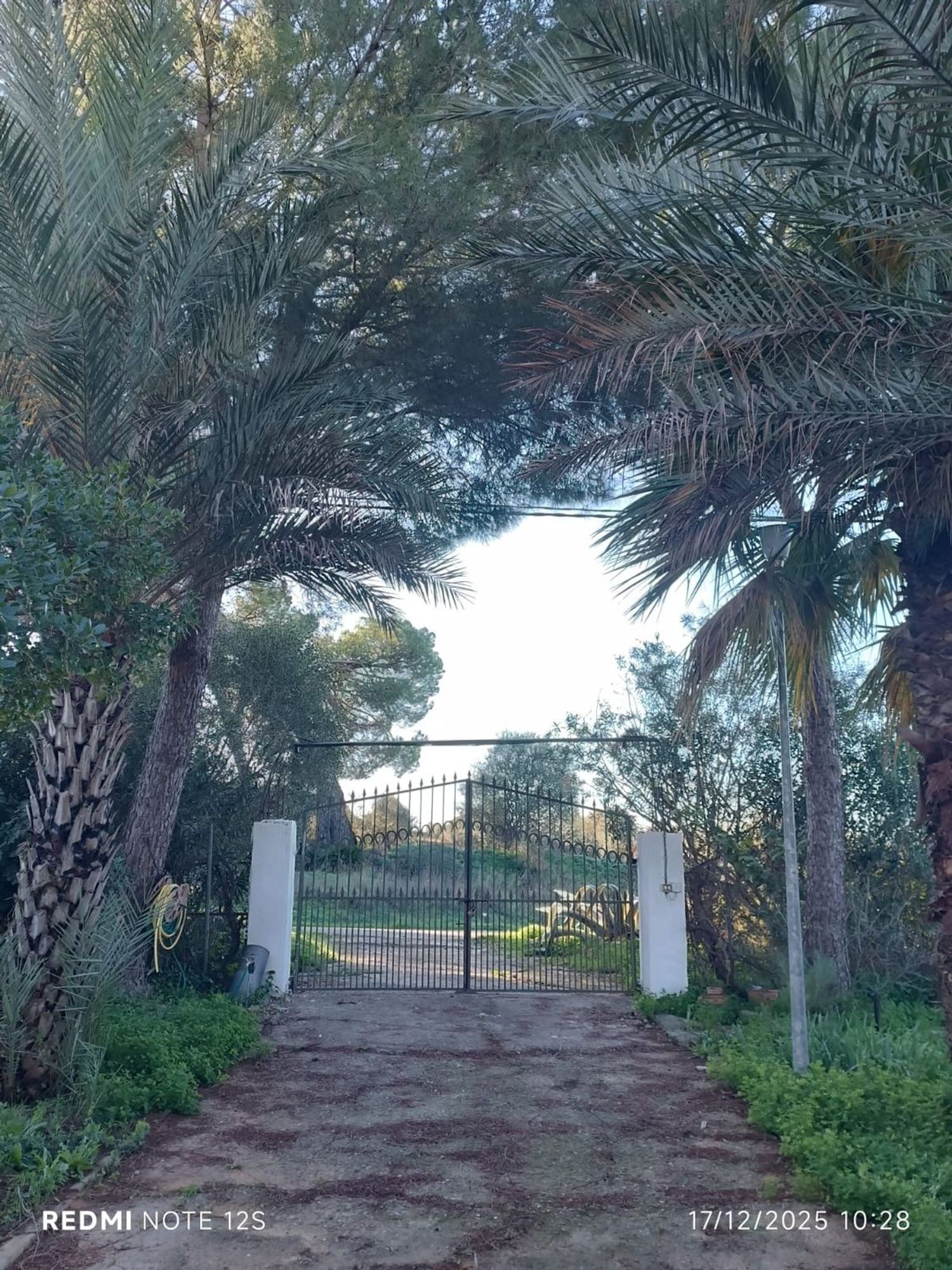 Finca rústica en Diseminados dirección a Puñanilla s/n - Foto 4