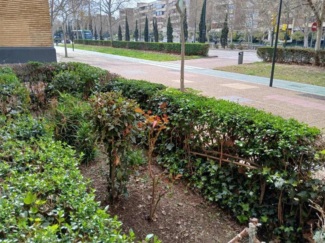 Piso en  Grupo Alférez Rojas II 11 - Foto 16