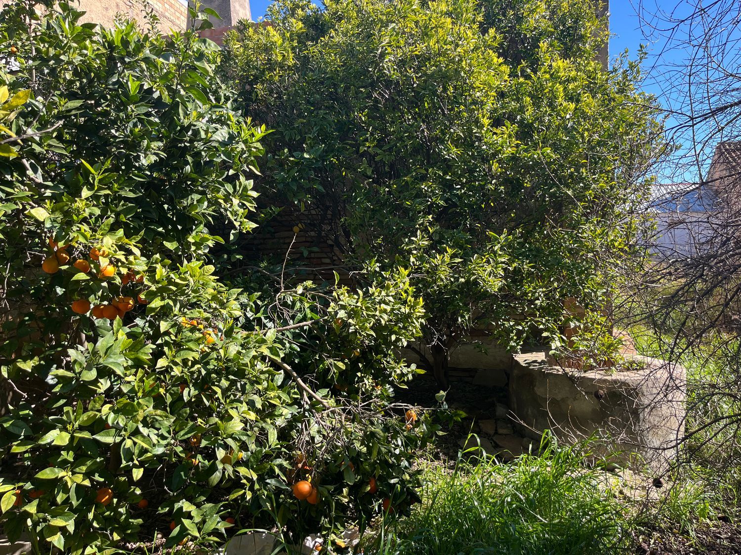 Casa de pueblo en P.Domínguez García, 86 - Foto 5