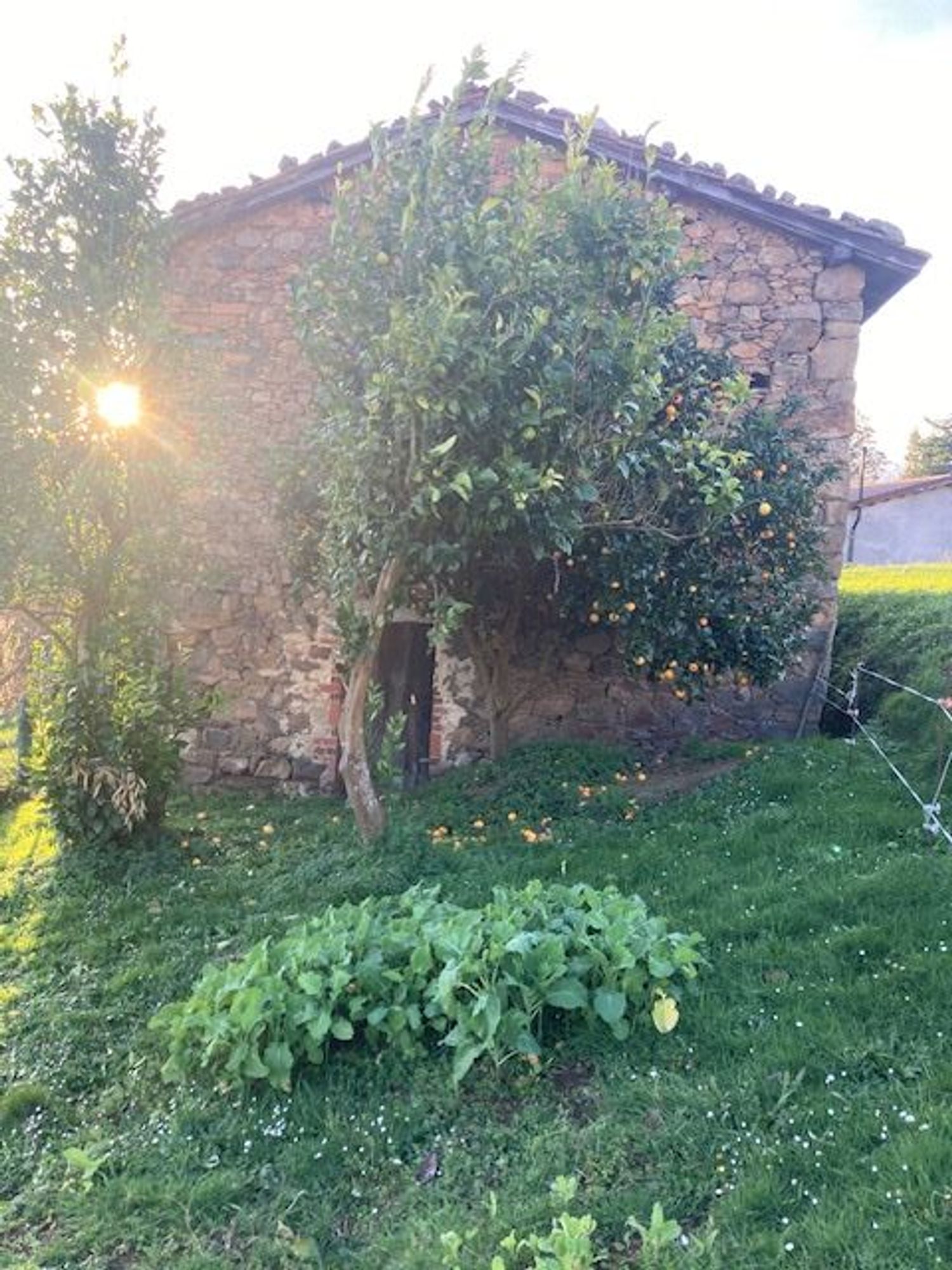 Casa de pueblo en Poligono 98 Parcela, 338 - Foto 4