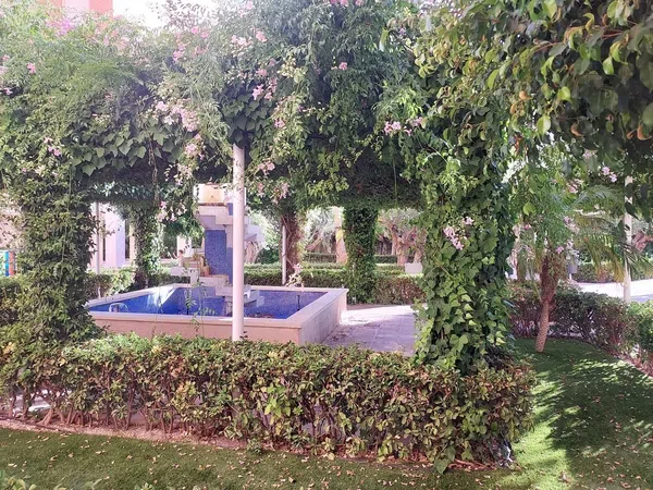 Piso en Avenida Oviedo, 4, Playa de San Juan - Foto 15
