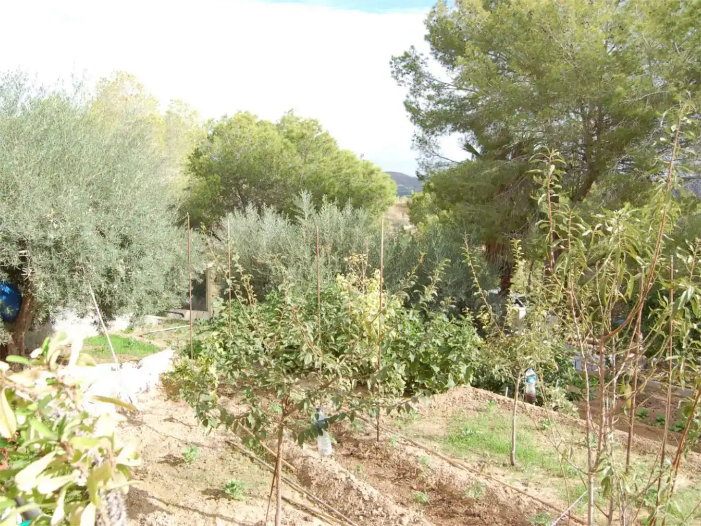 Chalet en  Urbanización la Pinada 37 - Foto 48