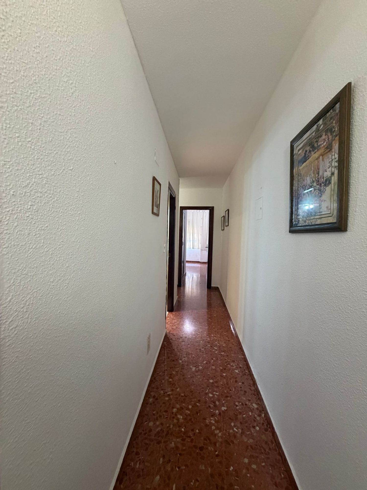 Piso en Zona Avenida al Vedat, Zona Avenida al Vedat - Foto 5