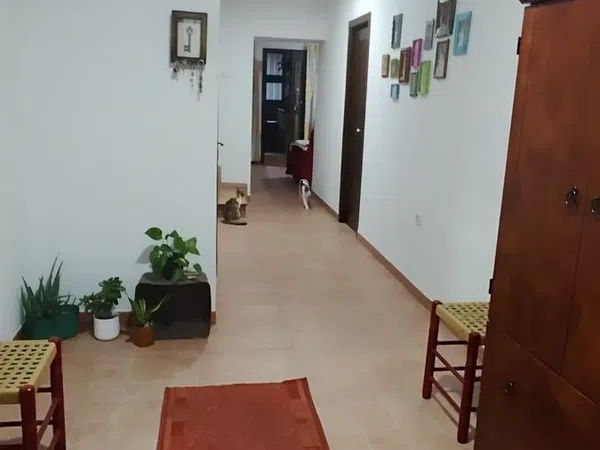 Casa de pueblo en Calle Ramón y Cajal, 106 - Foto 3