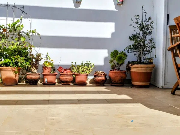 Ático en Calle Azucena, 16, Urbanización Santa Rosa - Foto 3