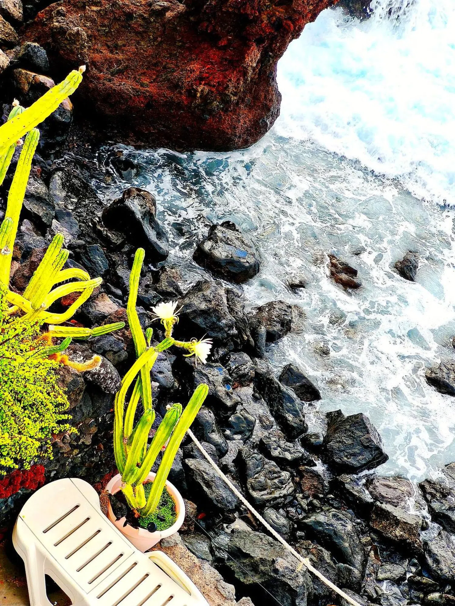 Estudio en La Esperanza-Llano del Moro - Foto 6