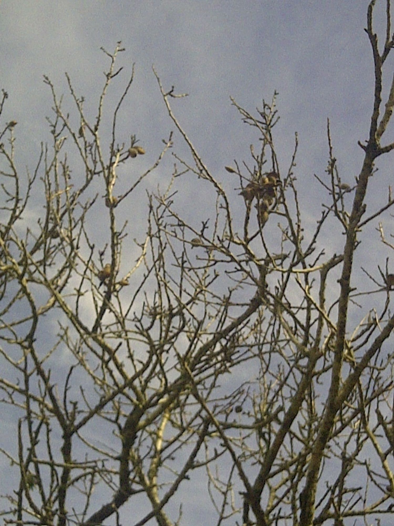 Casa independiente en camino de Melilla s/n - Foto 20