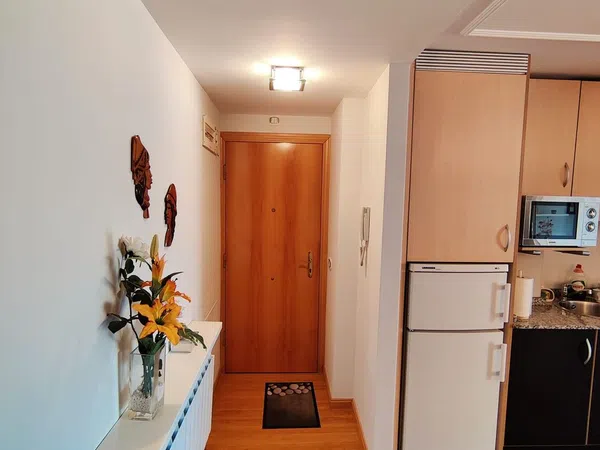 Estudio en Calle Amsterdam, 4, HUCA-La Cadellada - Foto 5
