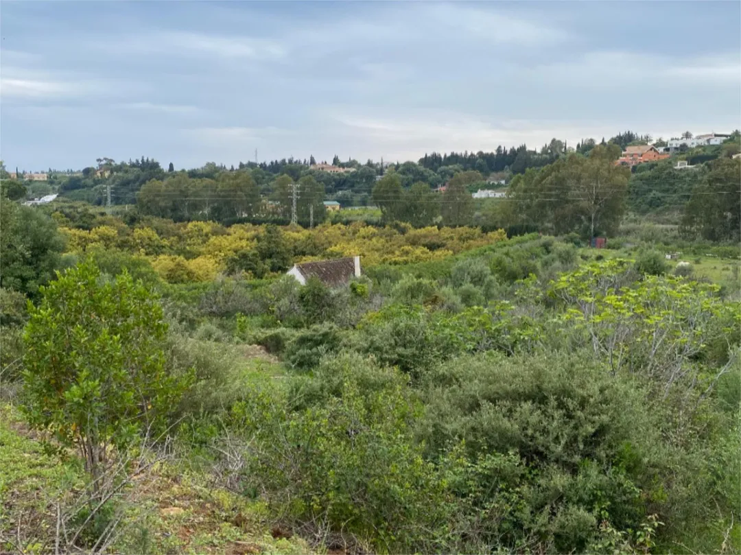 Chalet en  Calle de la Palmera 6 - Foto 34