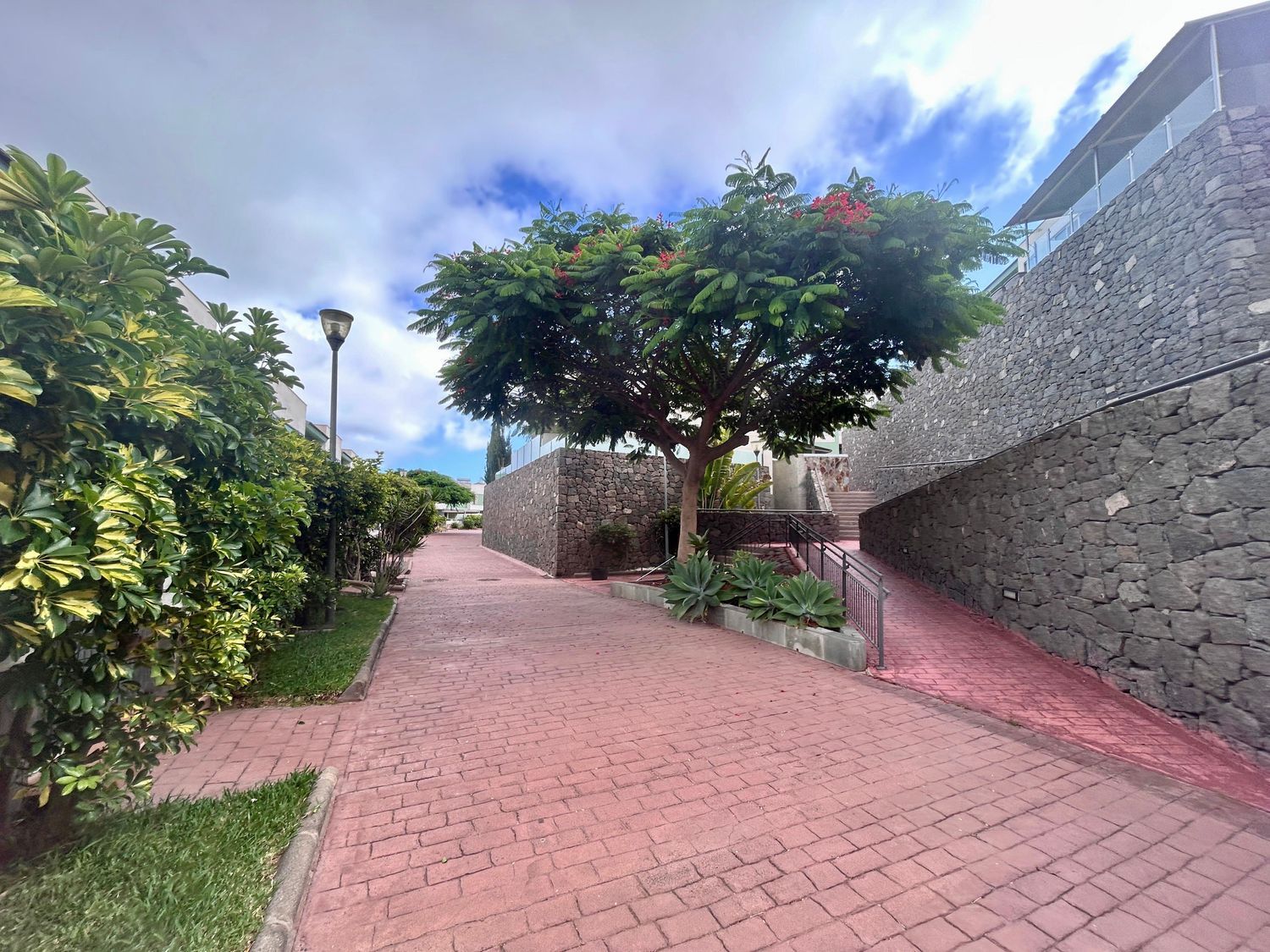 Piso en Calle Doctor Manuel Pescador Sánchez, 2, La Minilla - Foto 21