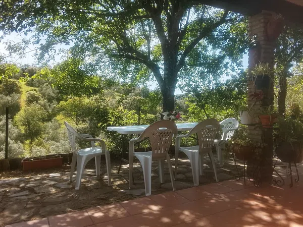 Finca rústica en Carretera de la estación, 3 km - Foto 7