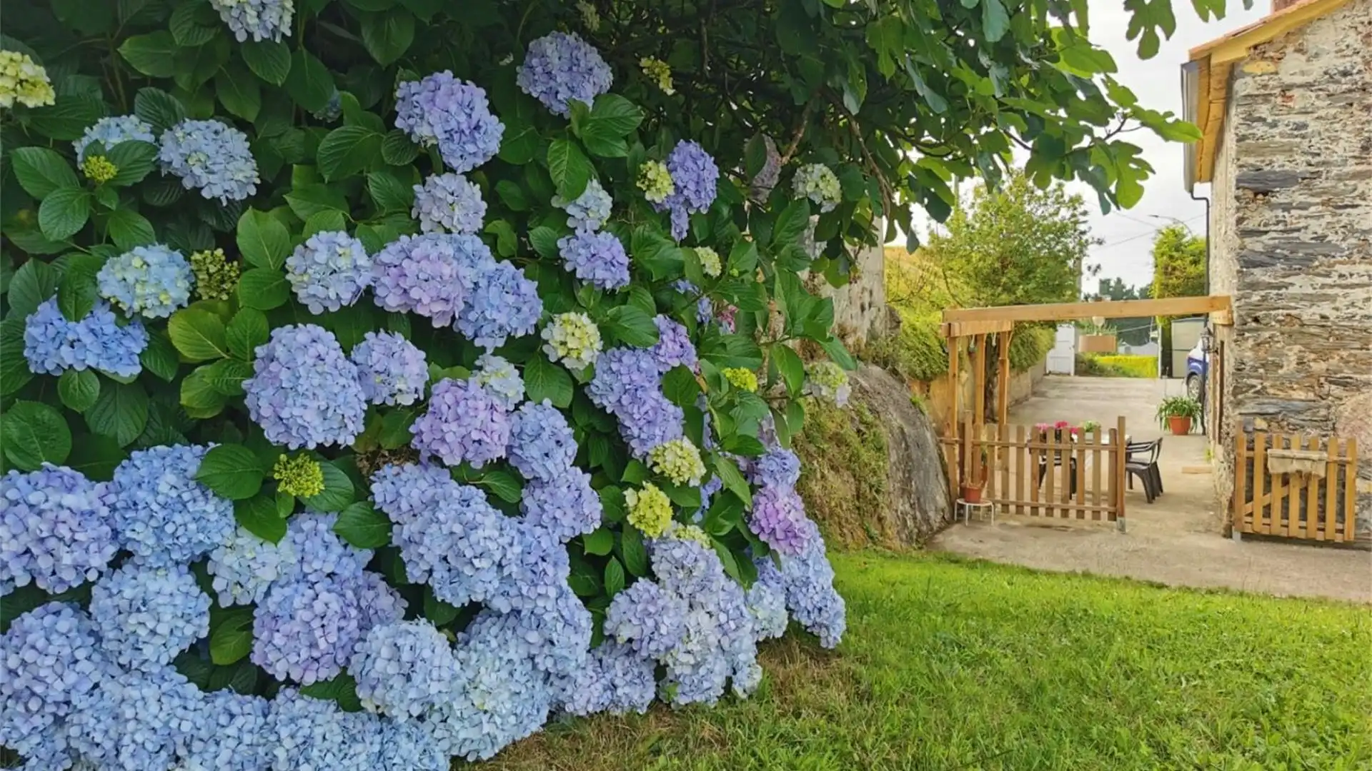 Chalet en  Carretera San Cidre - Foto 18