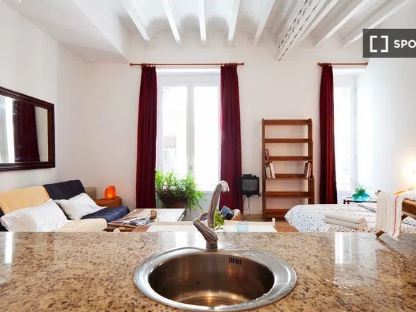 Estudio en Rambla La, El Raval - Foto 20