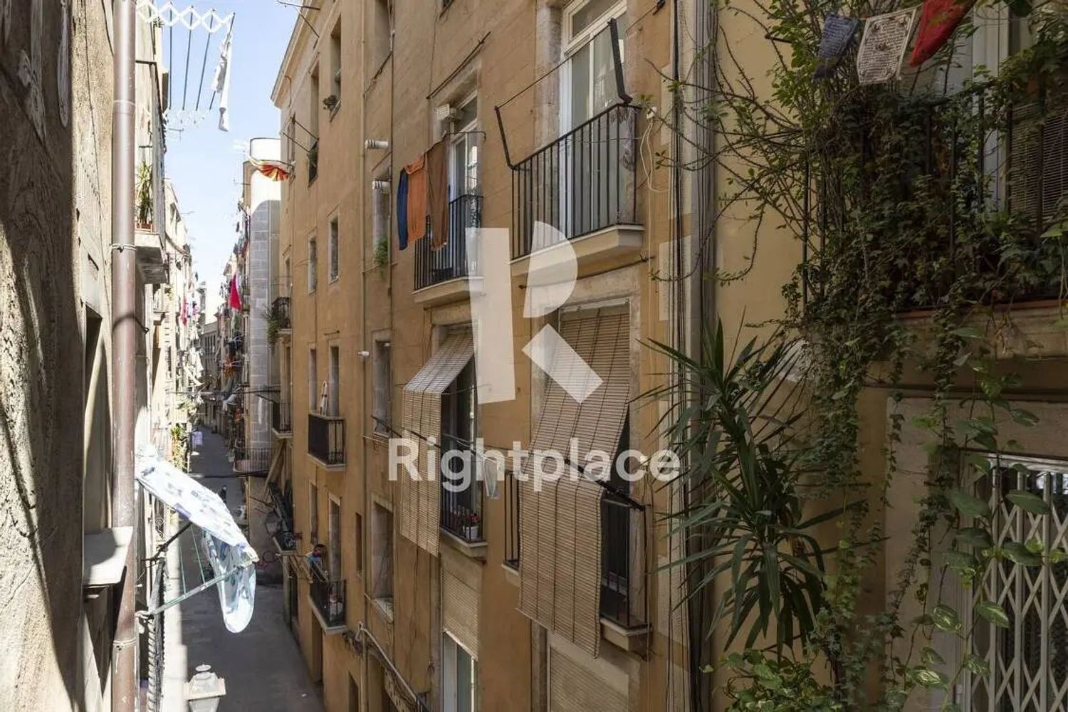Piso en Calle de Sant Pere Mitjà, Sant Pere - Santa Caterina i la Ribera - Foto 3