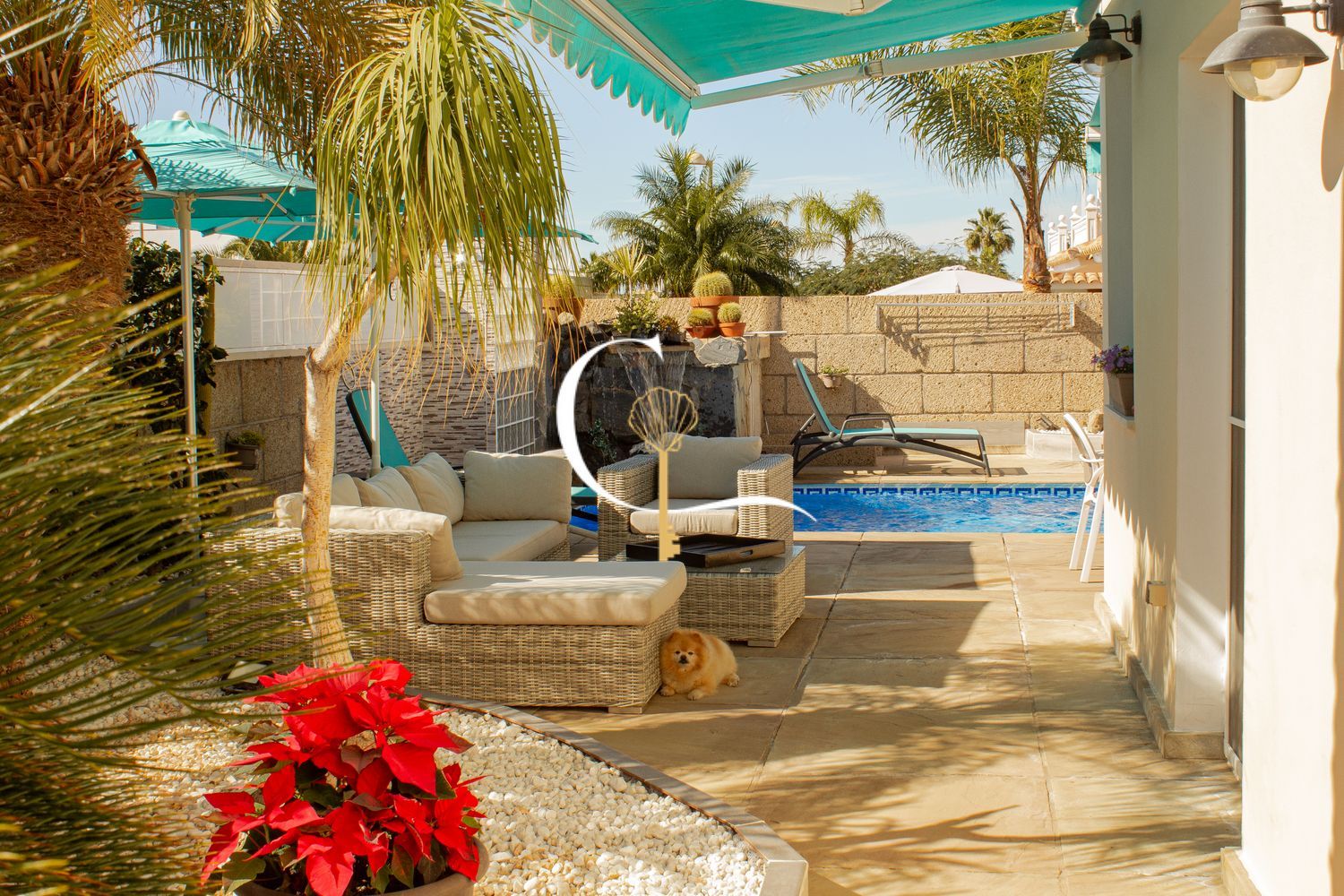 Chalet adosado en calle la Golondrina, 2 - Foto 2