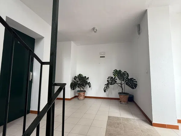 Piso en Sector Palmito, 2, Zona Caño Guerrero - Foto 5