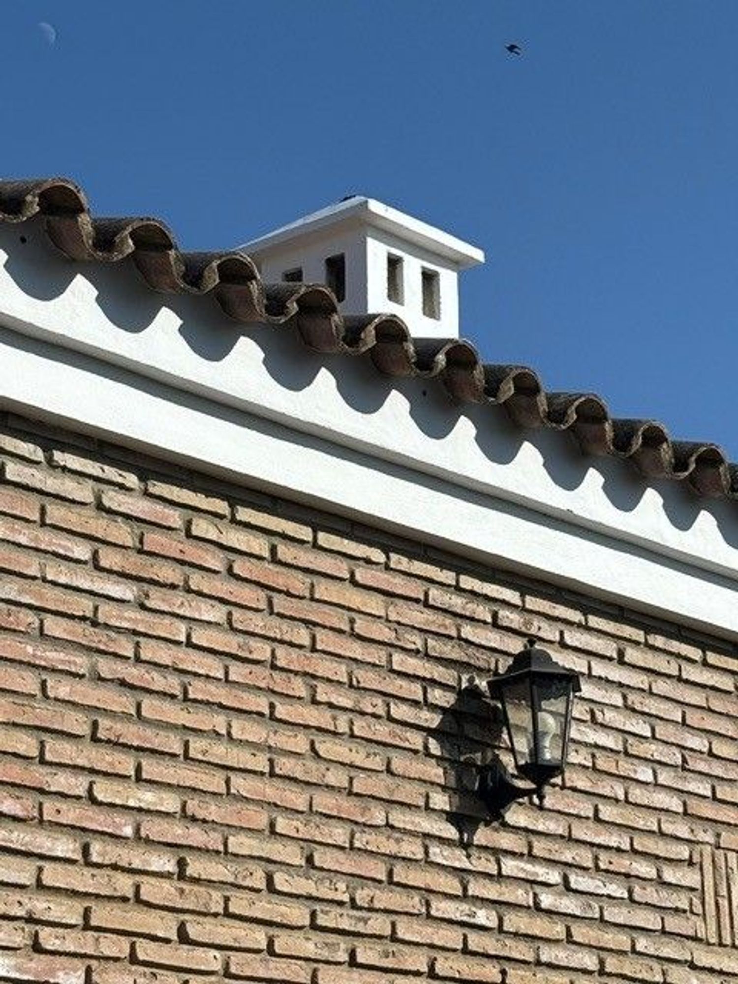 Casa o chalet independiente en Calle Vison, 13, Cuatro Pinos-El Carmen - Foto 11