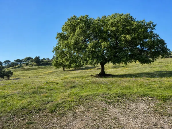 Casa rural en Berrocal, 1 - Foto 11