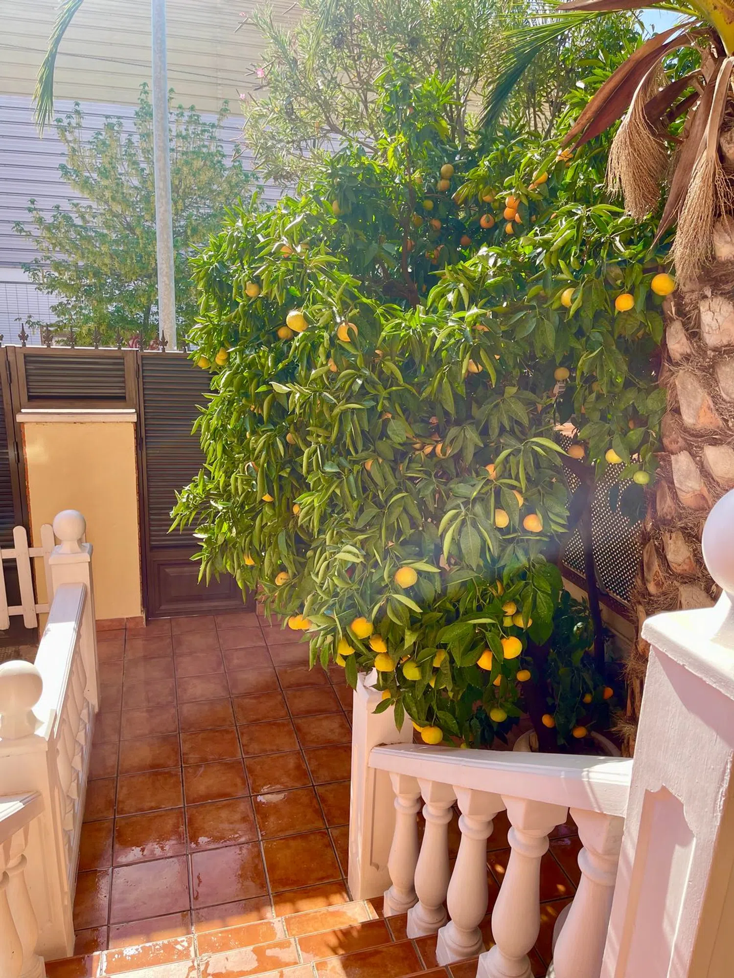 Chalet pareado en La Garena - Foto 4