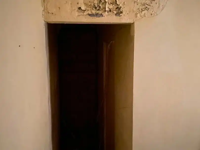 Planta baja en  Calle Beata Soledad Torres Acosta 42 - Foto 8