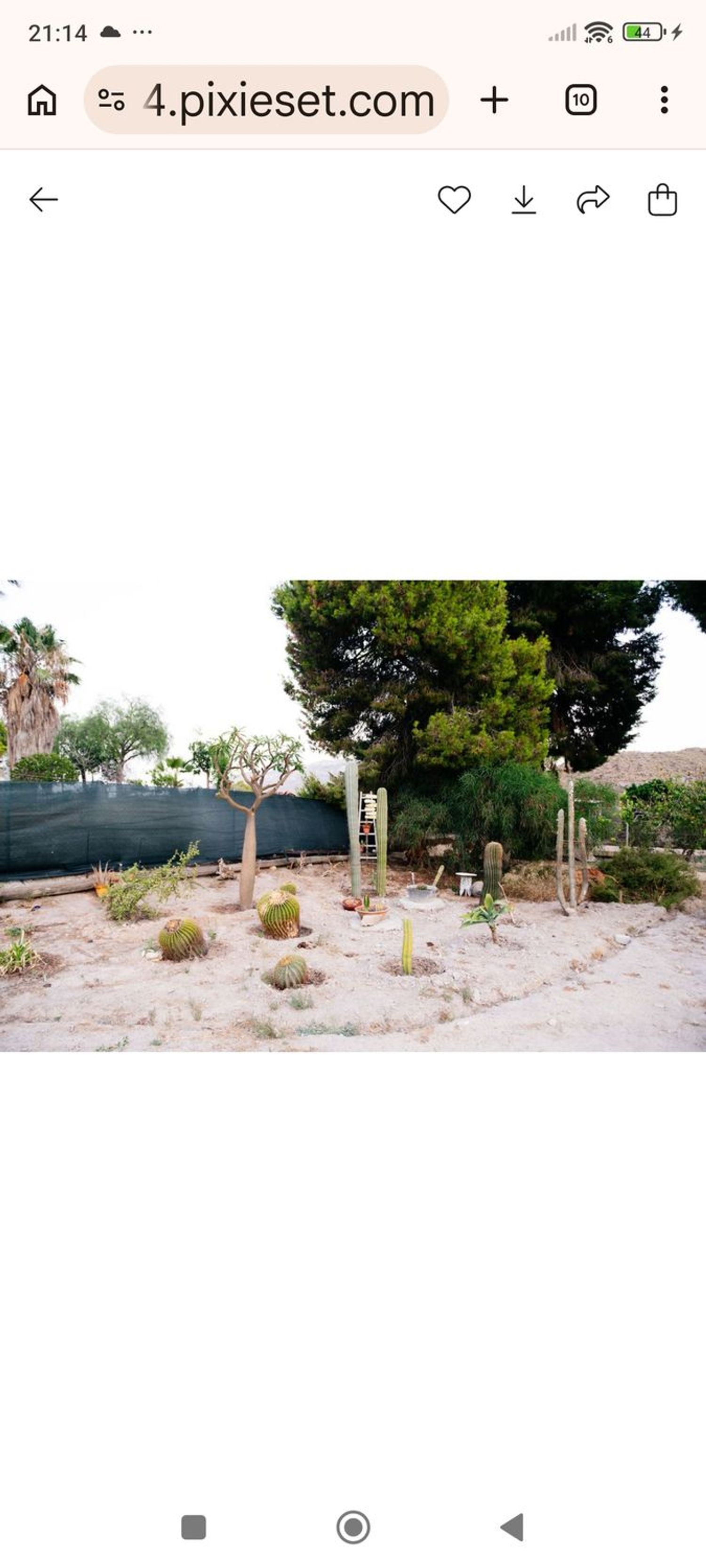Finca rústica en Lugar las Casicas, 2, Calabardina-Cope - Foto 17